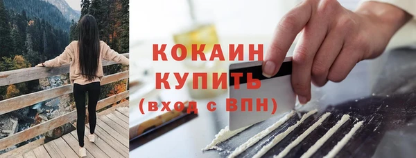 дживик Надым