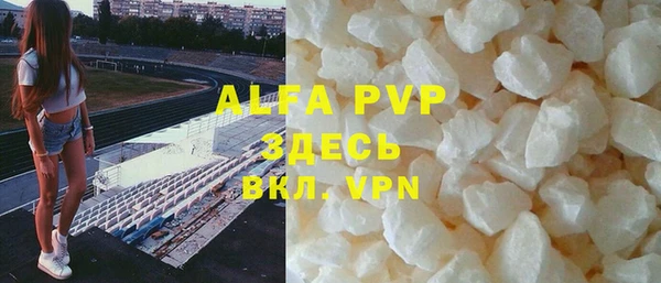 стафф Алексин